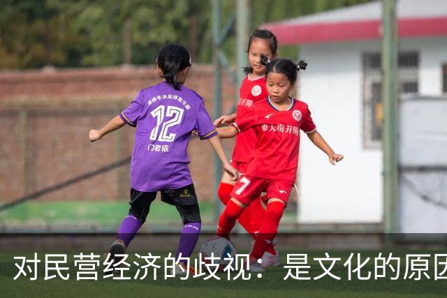 对民营经济的歧视：是文化的原因，还是意识形态的推动
